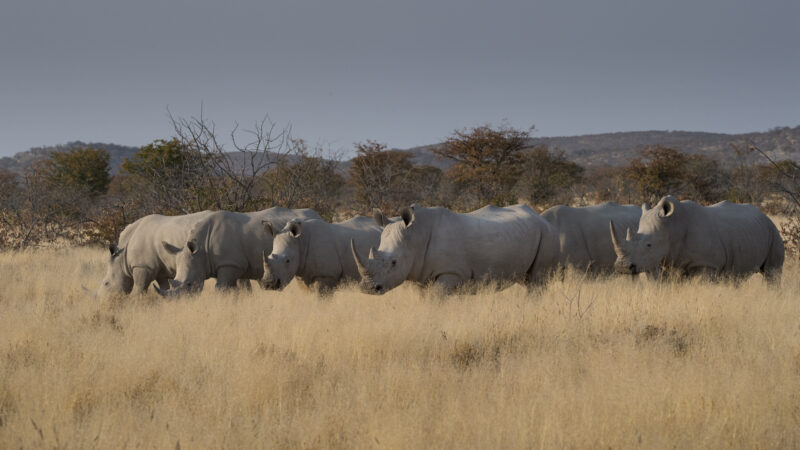 Travel Namibie 328